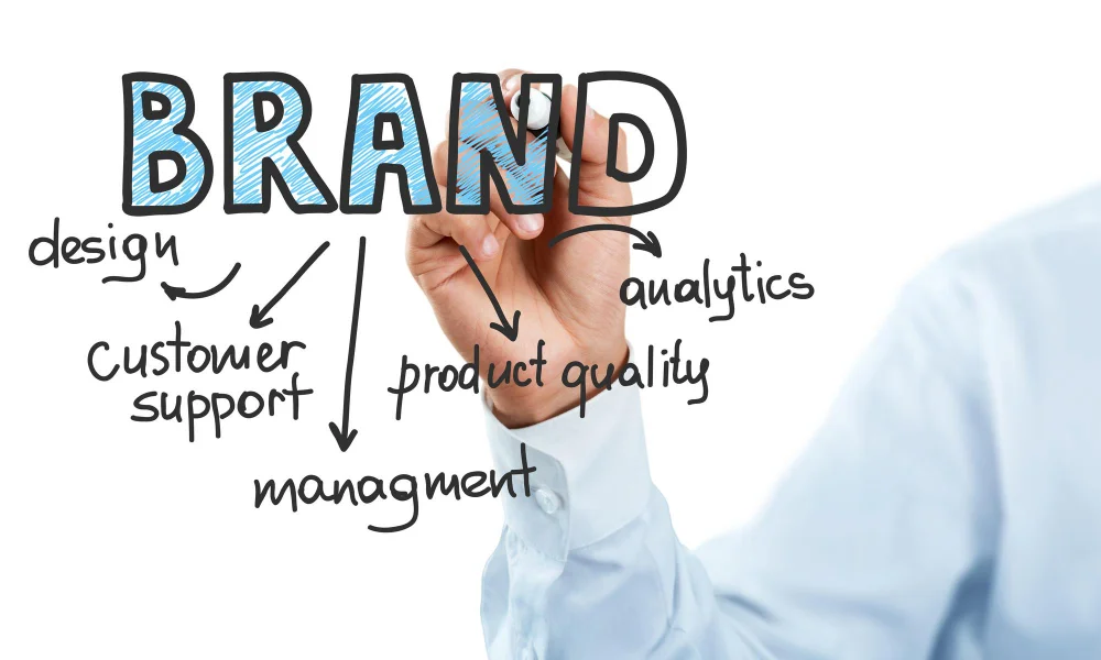 Establish Brand Authority: role of content in digital marketing